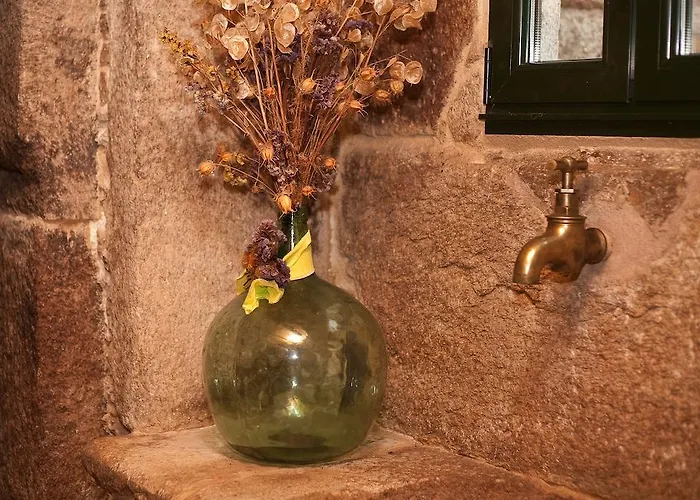 Gospodarstwo wiejskie Casa De Barreiro